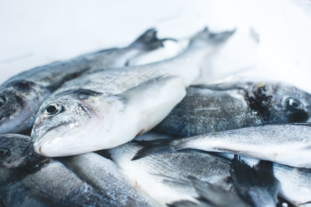 Poissonnerie du Marché